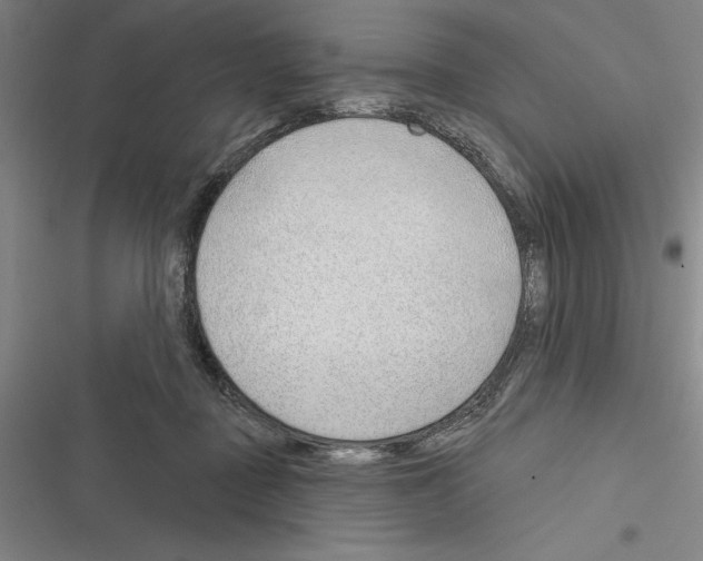 X0000116380363201001131813