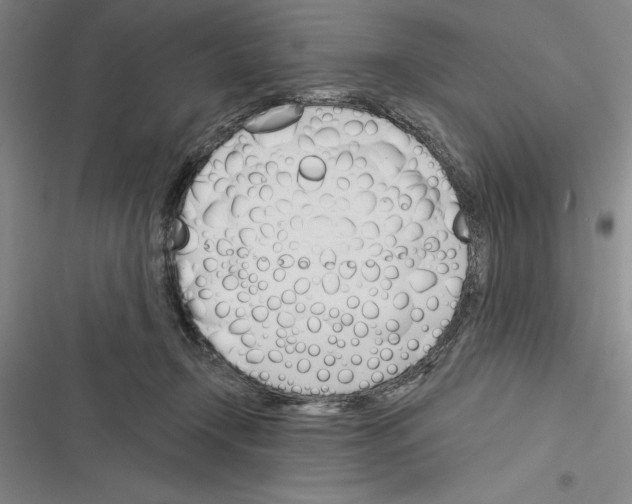 X0000116380366201001131813