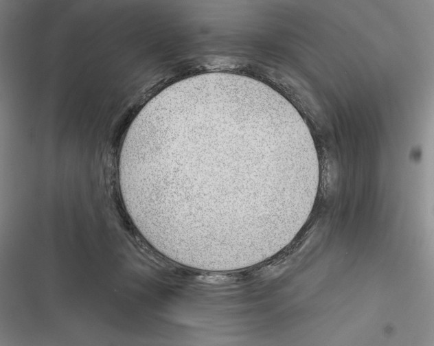 X0000116380367201001131813