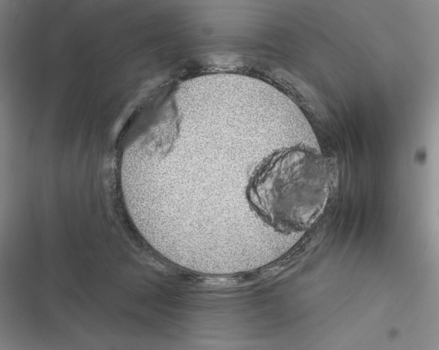 X0000116380369201001131813