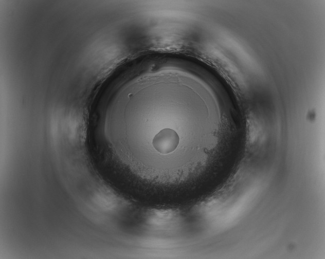 X0000116380370201001131813