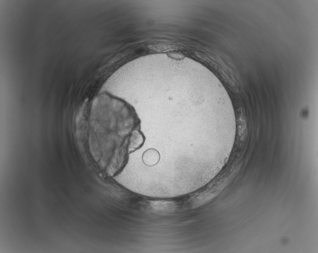 X0000116380371201001131813