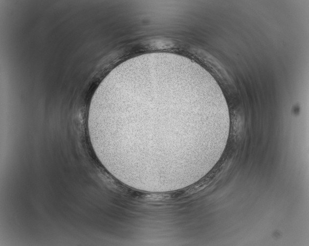 X0000116380373201001131813