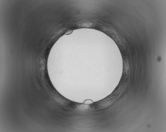X0000116380374201001131813