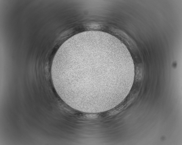 X0000116380377201001131813