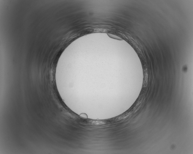 X0000116380379201001131813