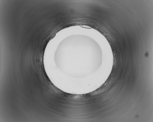 X0000116380382201001131813