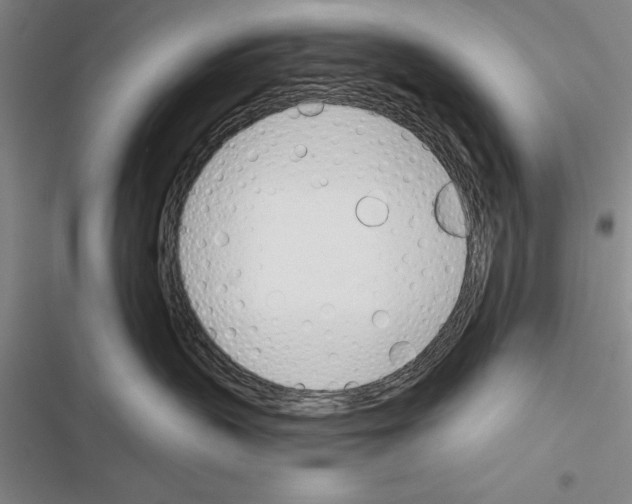 X0000116380383201001131813