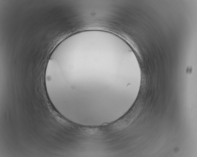 X0000116380385201001131813