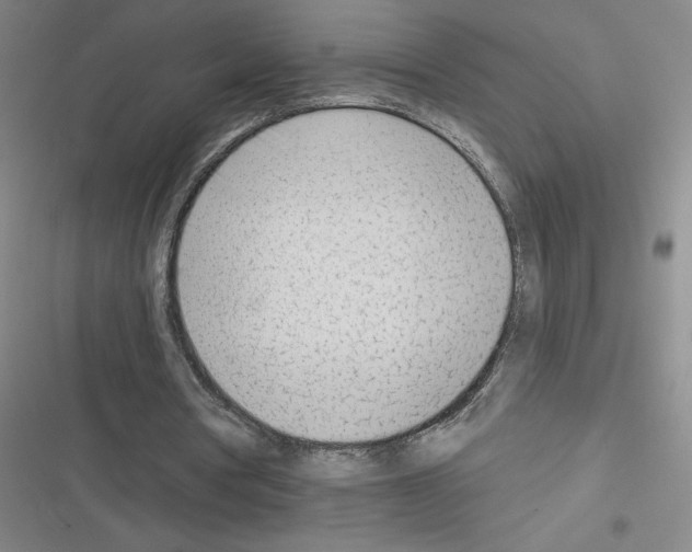 X0000116380386201001131813