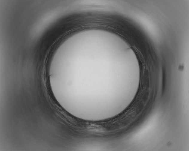 X0000116380387201001131813
