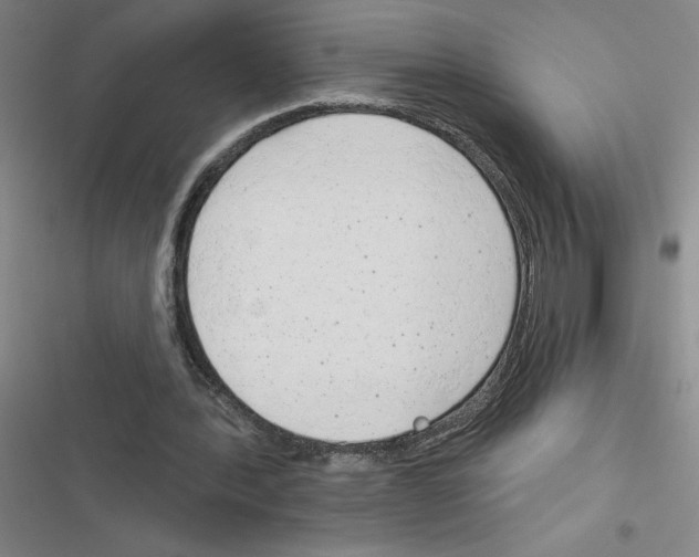 X0000116380388201001131813