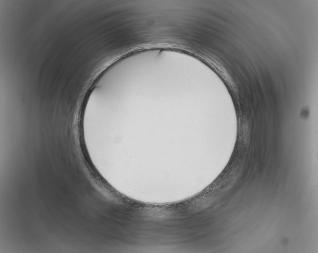 X0000116380389201001131813