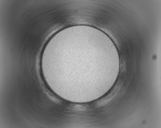 X0000116380390201001131813