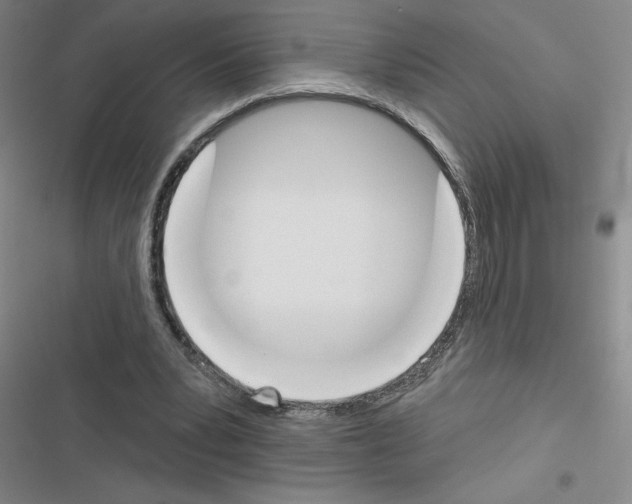 X0000116380391201001131813