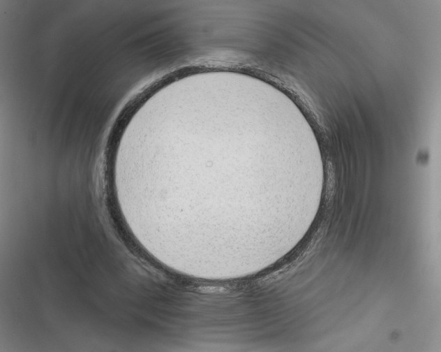 X0000116380392201001131813
