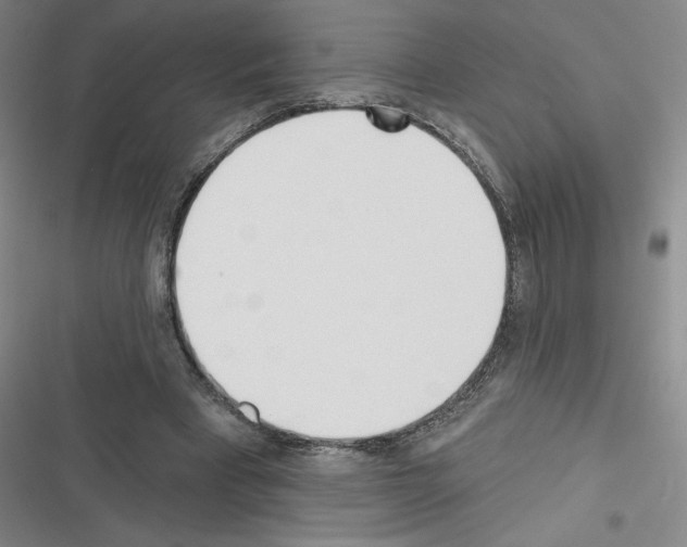 X0000116380393201001131813