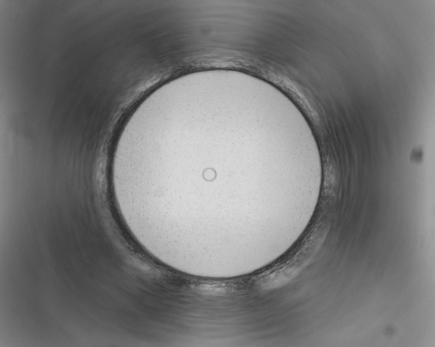 X0000116380394201001131813