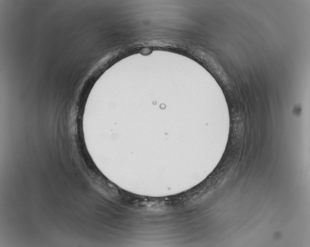 X0000116380395201001131813