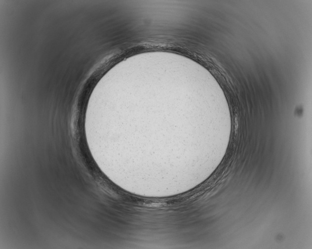 X0000116380396201001131813