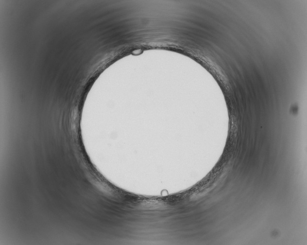 X0000116380397201001131813