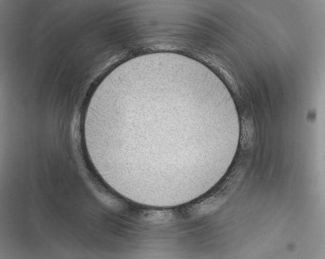 X0000116380398201001131813