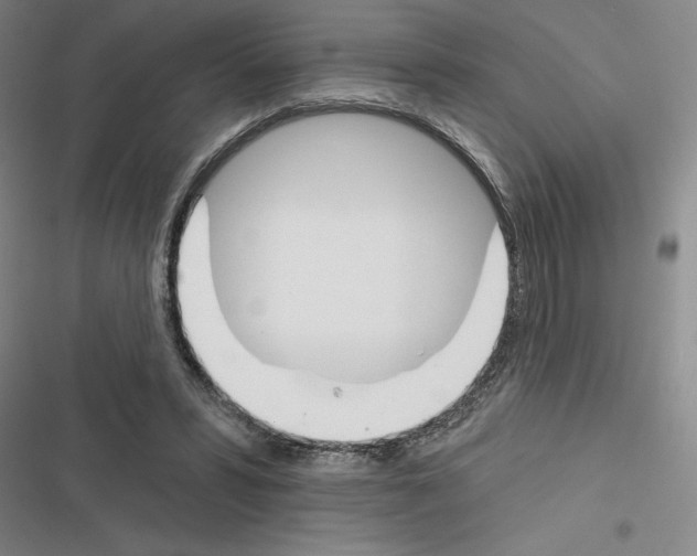X0000116380399201001131813