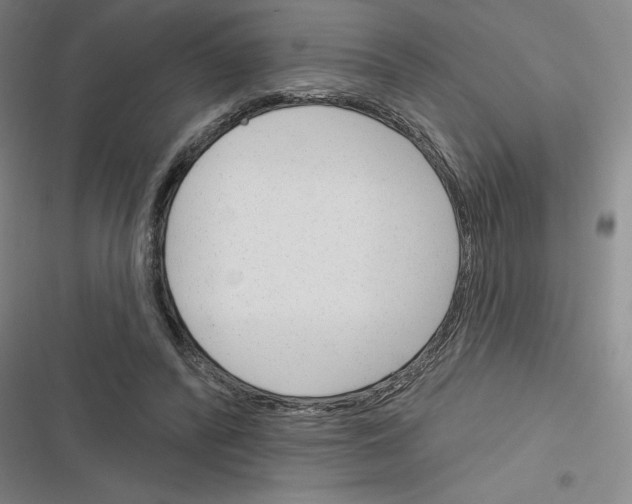 X0000116380400201001131813