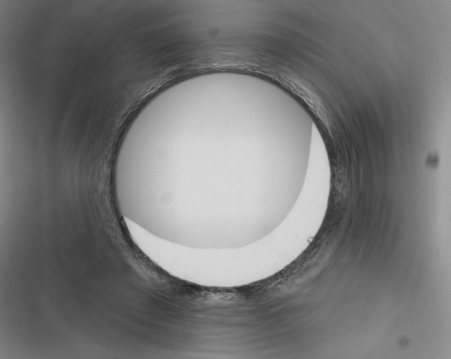 X0000116380401201001131813