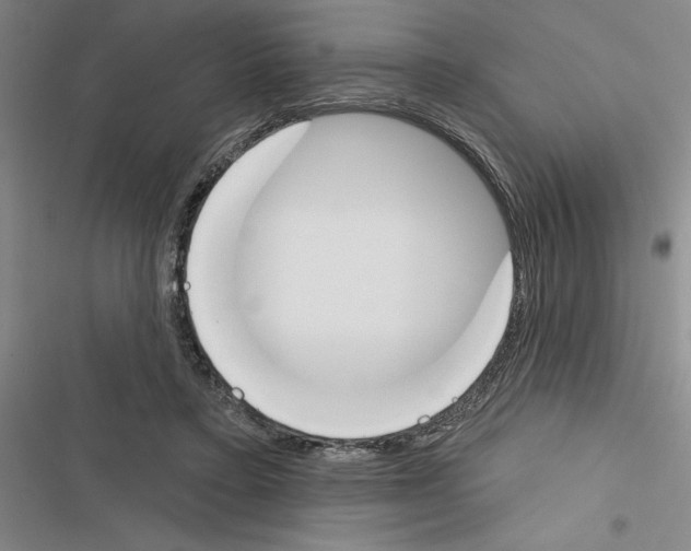 X0000116380403201001131813