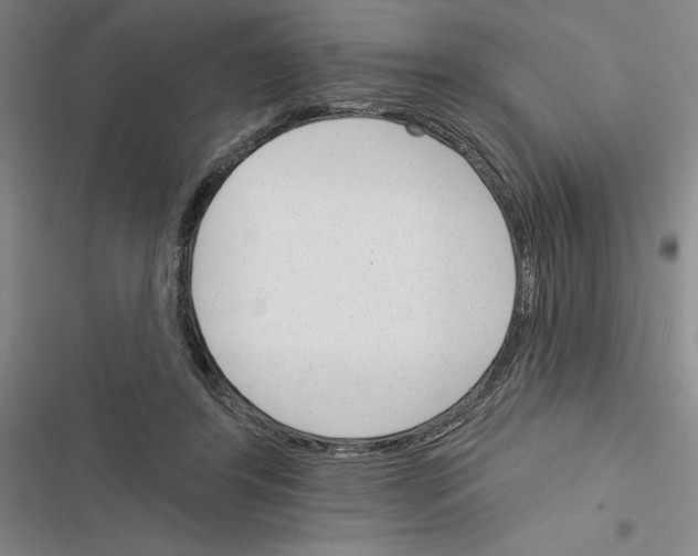 X0000116380404201001131813