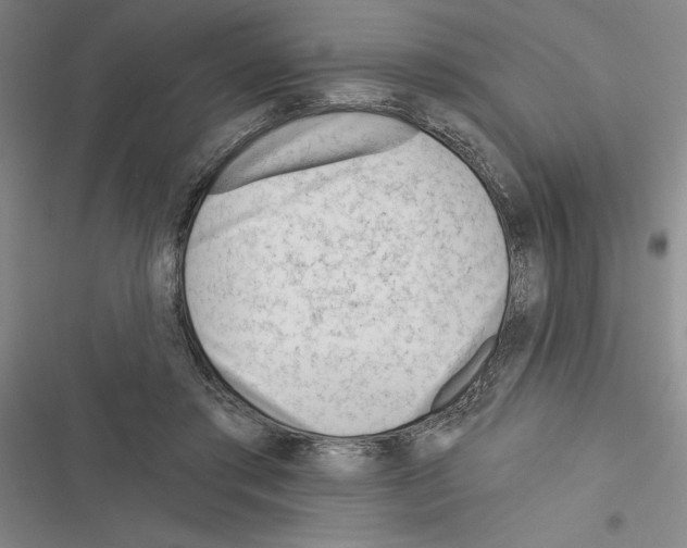 X0000116380405201001131813