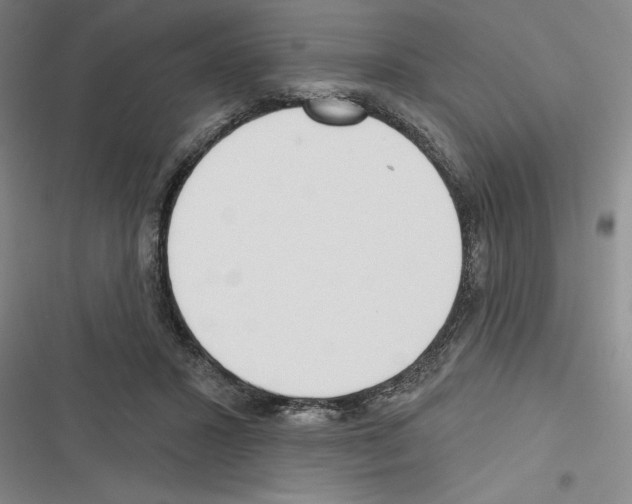 X0000116380407201001131812