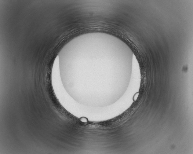 X0000116380408201001131812