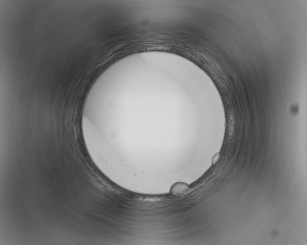 X0000116380409201001131812