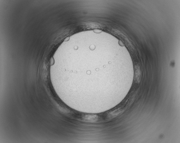 X0000116380410201001131812