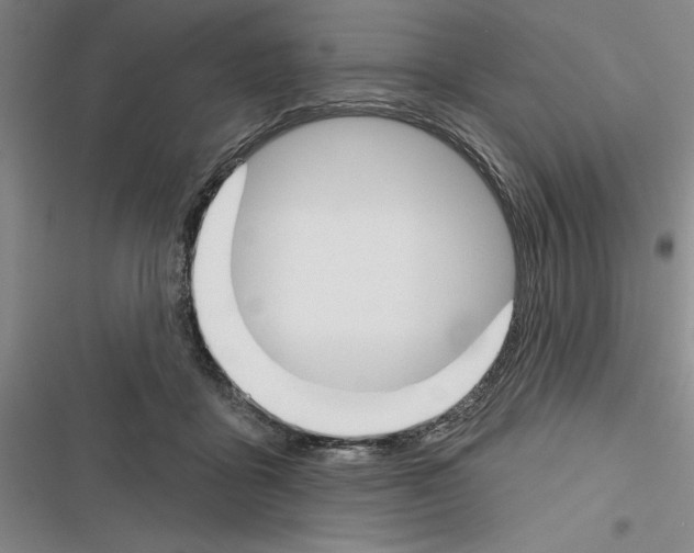 X0000116380411201001131812