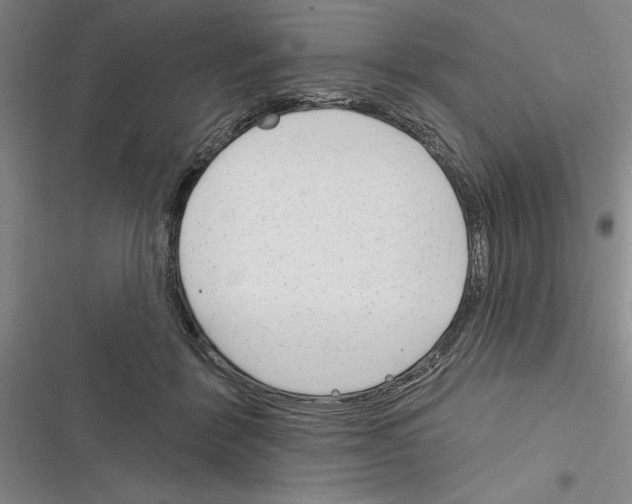 X0000116380412201001131812