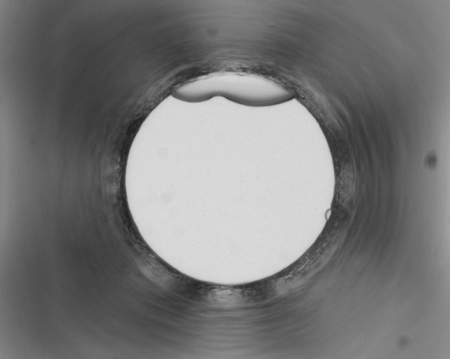 X0000116380413201001131812