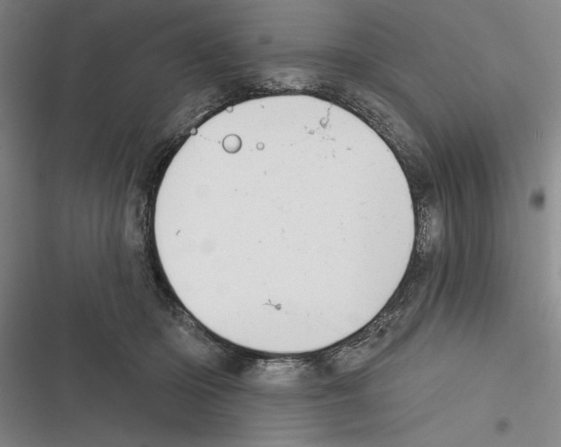 X0000116380414201001131812