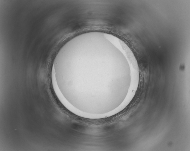 X0000116380415201001131812