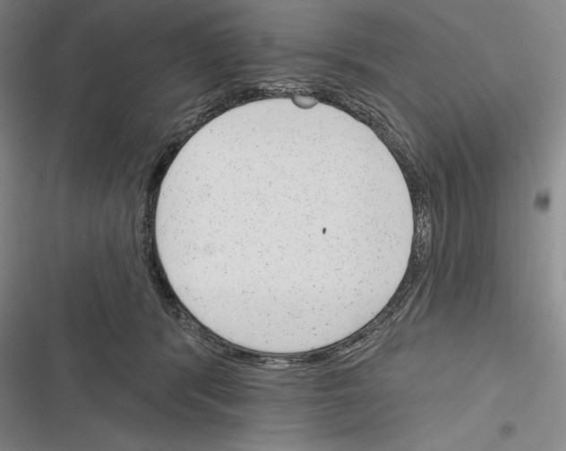 X0000116380416201001131812