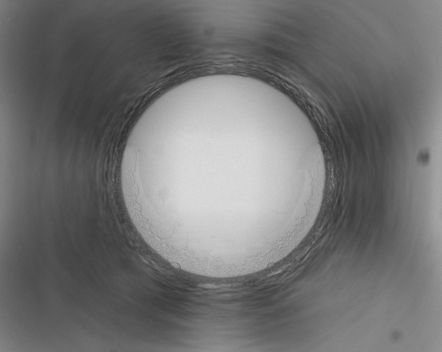 X0000116380417201001131812