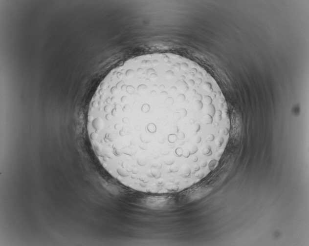 X0000116380418201001131812