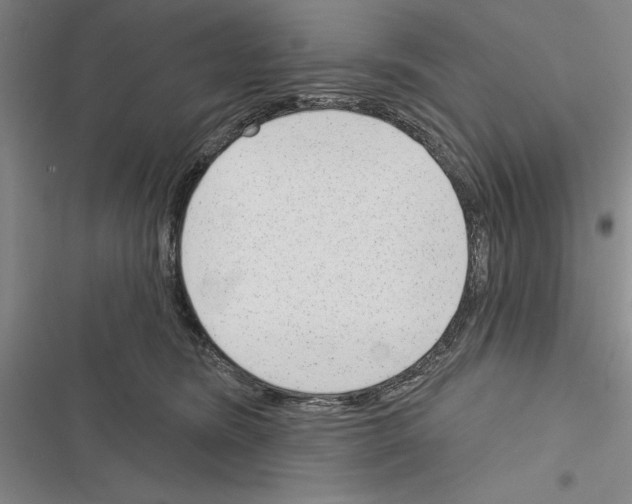 X0000116380420201001131812