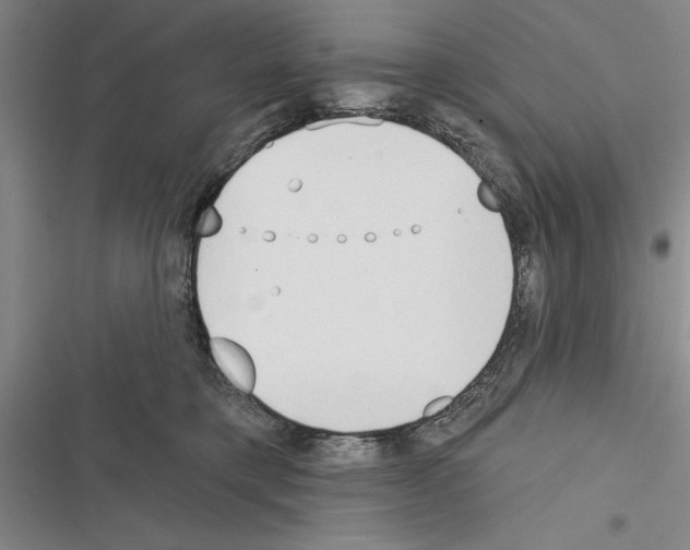 X0000116380421201001131812