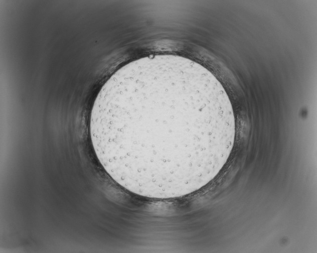 X0000116380422201001131812