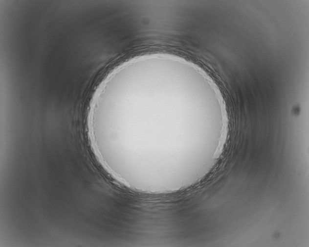 X0000116380423201001131812