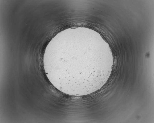 X0000116380424201001131812