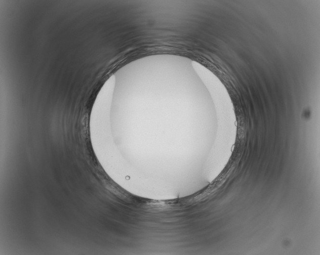 X0000116380425201001131812